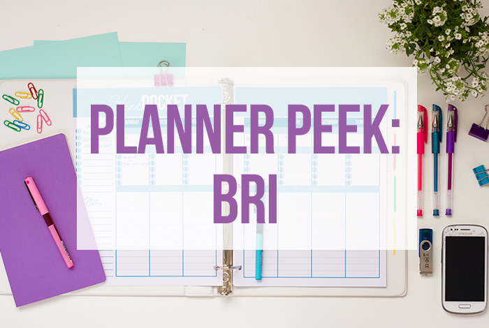 Take a Tour of Bri's Planner